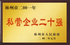 私營企業二十年